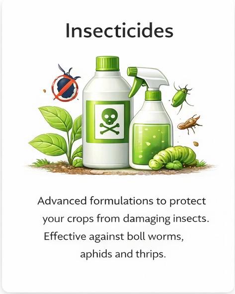 whatsapp image 2026 02 10 at 11.05.41 am