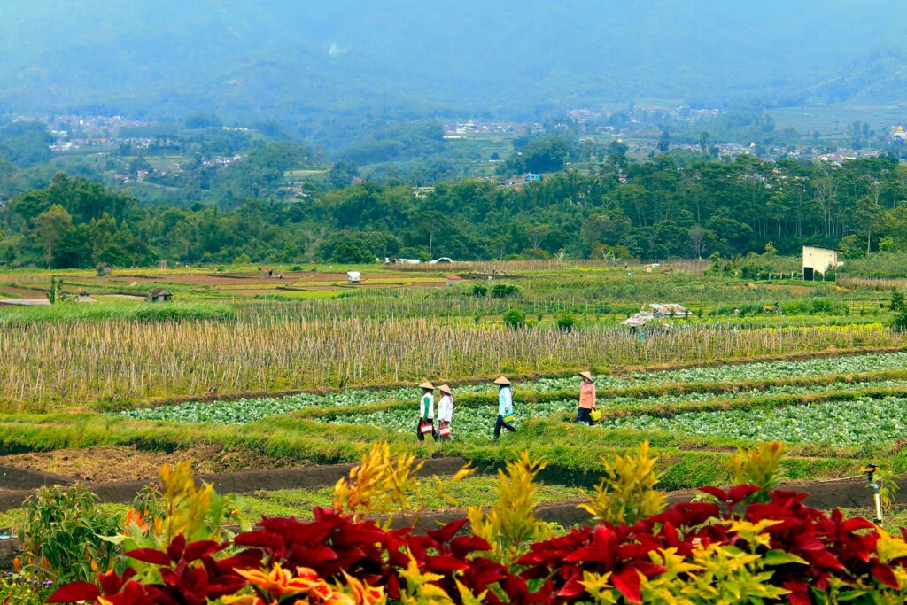 nuril ahsan pasqootlgha unsplash (1)